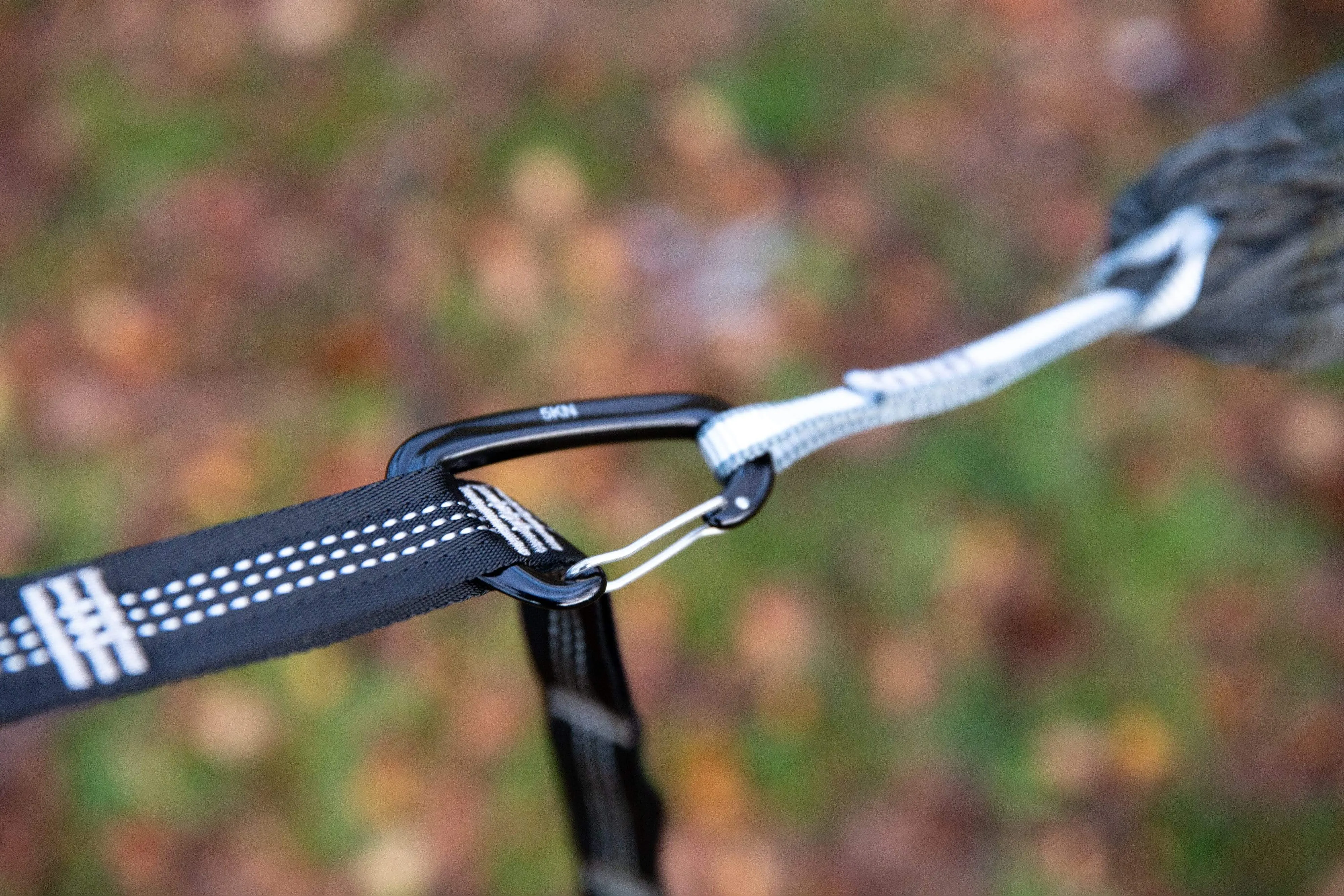 Mora Hammock