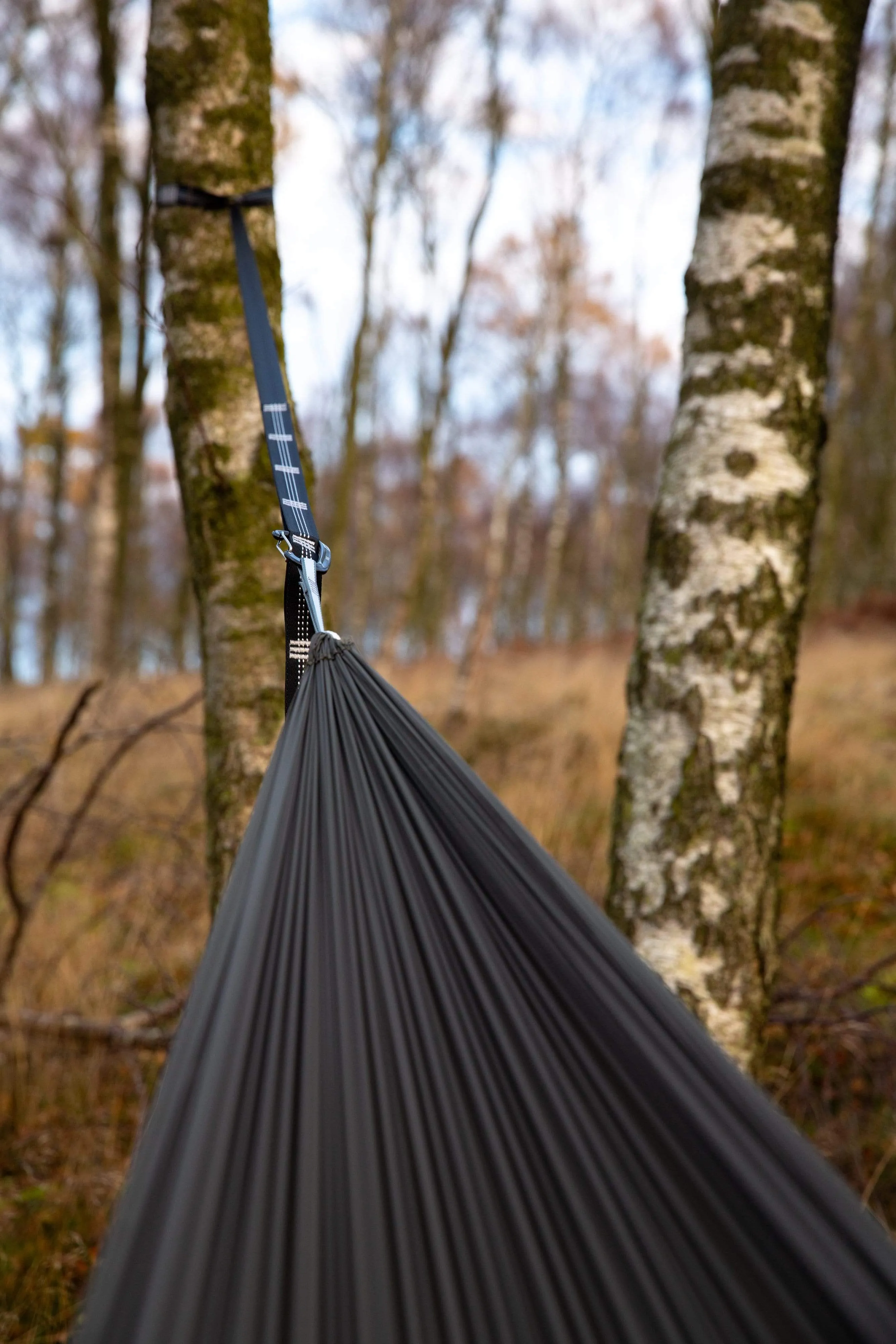 Mora Hammock