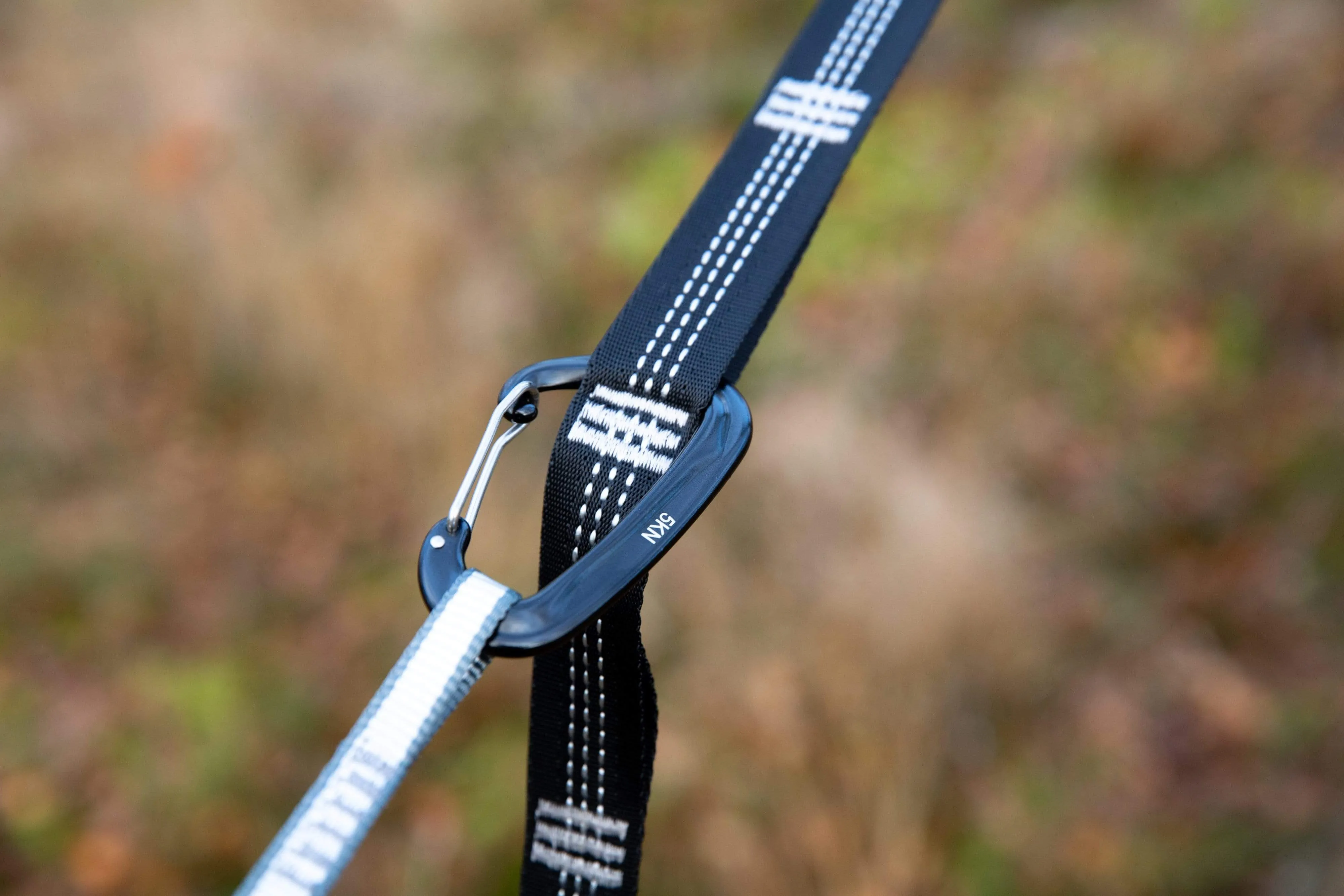 Mora Hammock