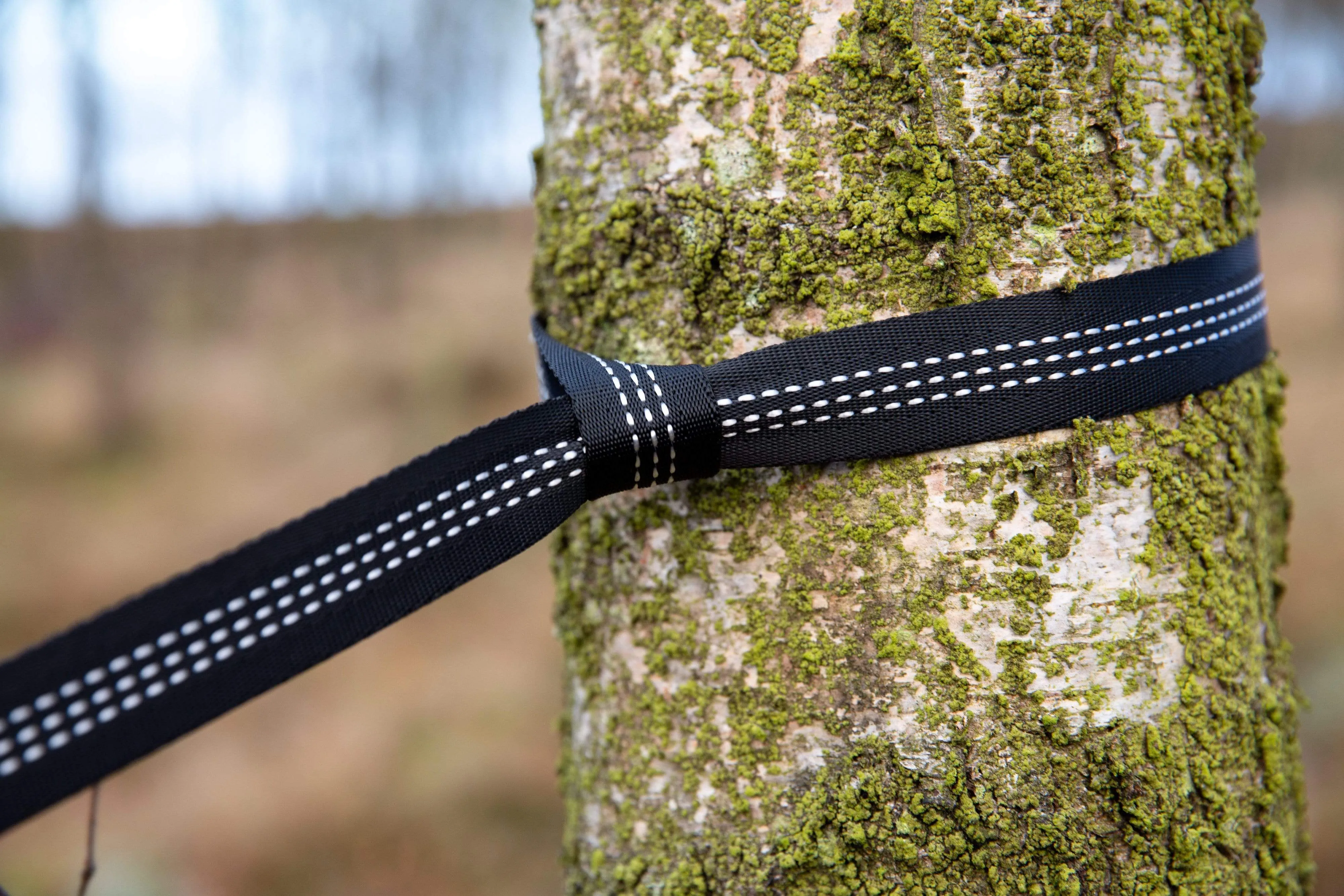 Mora Hammock