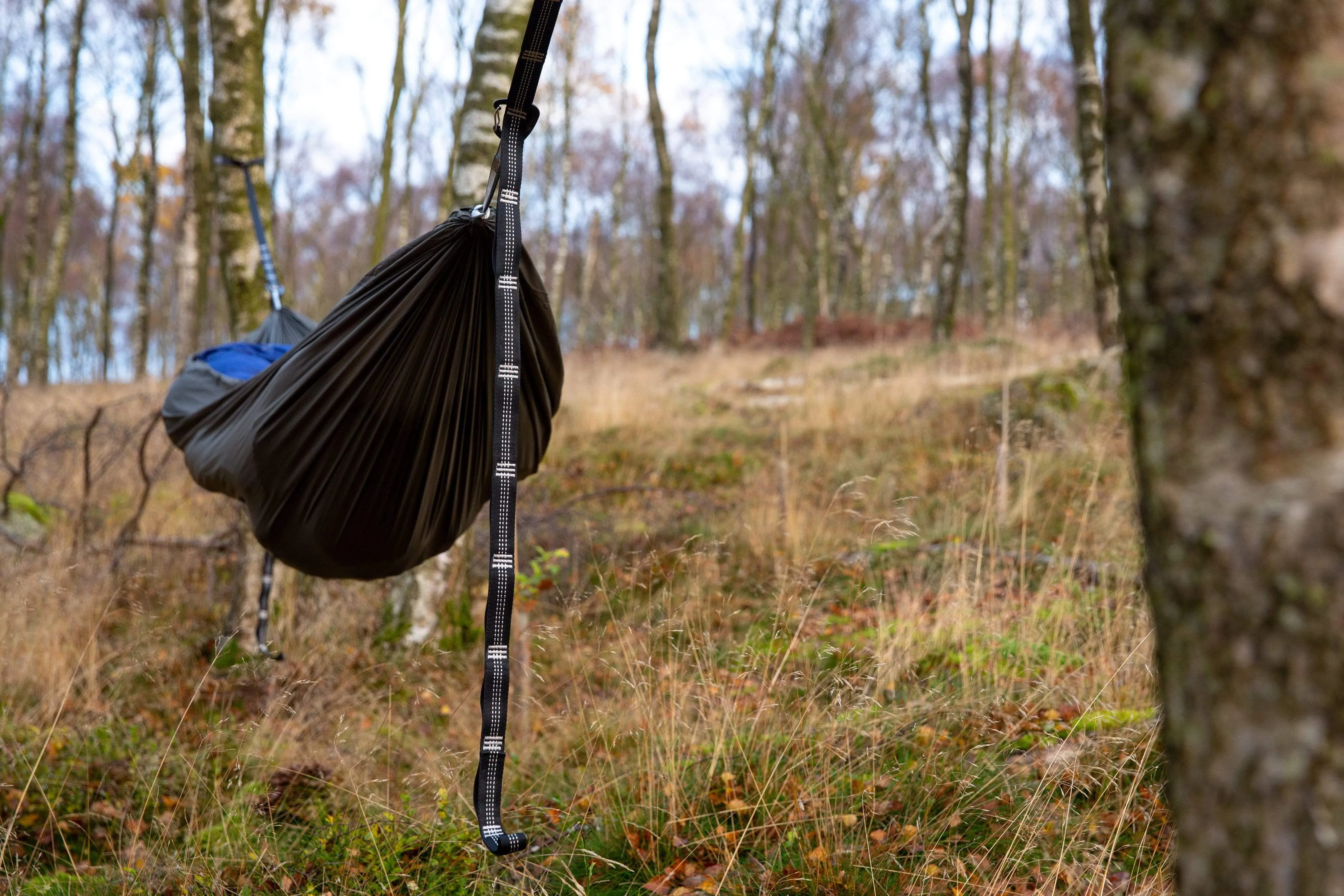 Mora Hammock