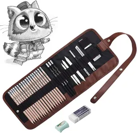 Sketching Pencil and Charcoal Set - 30-Piece Artist Kit Includes Graphite, Charcoal Pencils, Erasable Pen, Sketching Set for Drawing
