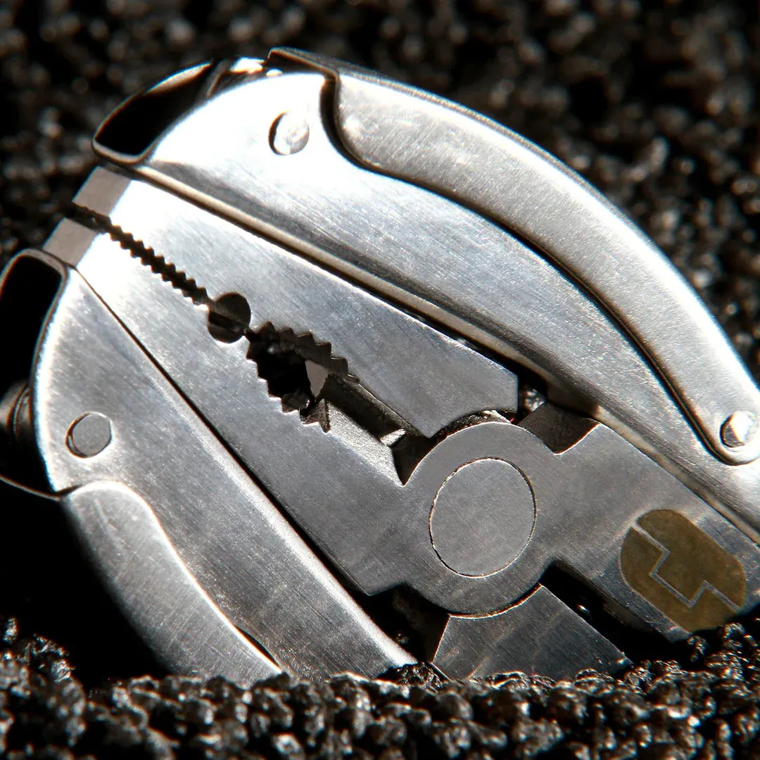 TRUE SCARAB